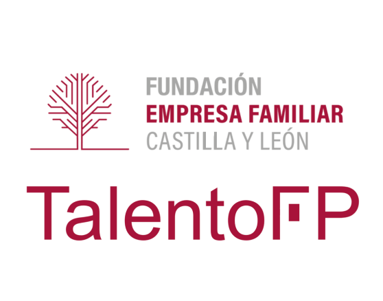 Proyectos implementados en Talento FP